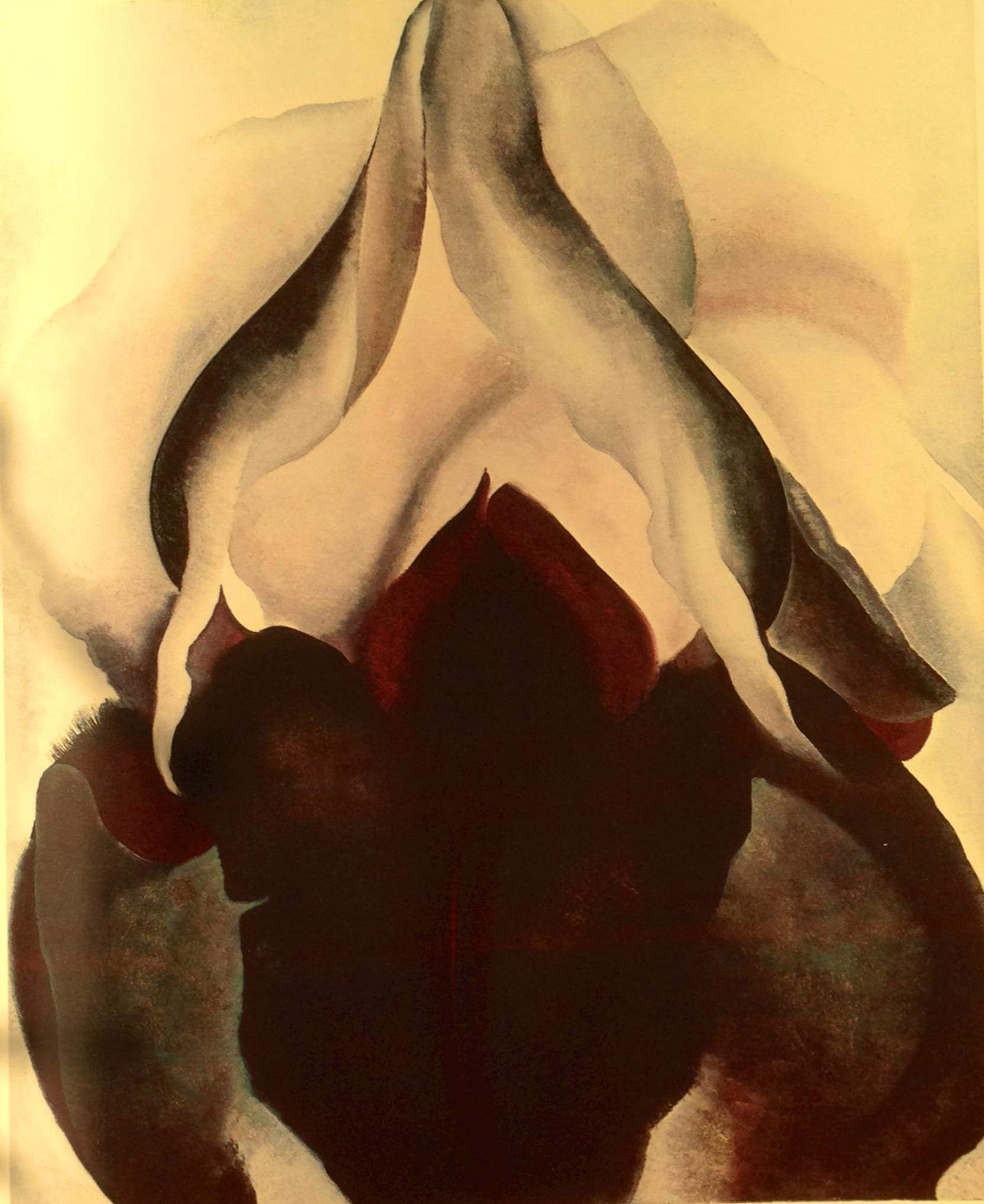 Georgia O’Keeffe, Black Iris, 1926.